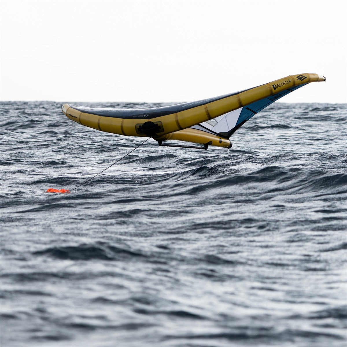 Wing Anchor | Orange