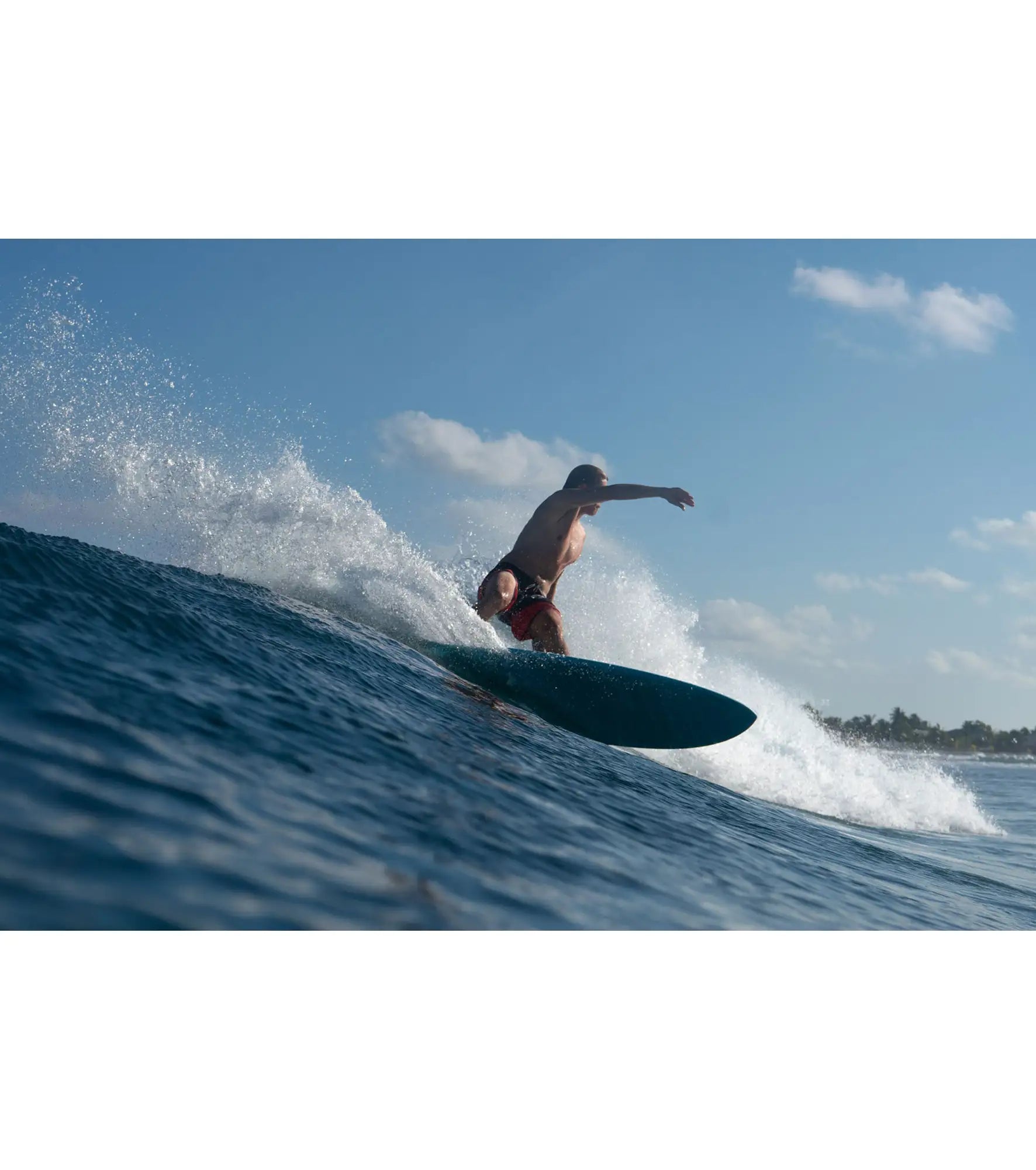 Torq Mod Fish CS - Futures - 5 Fin