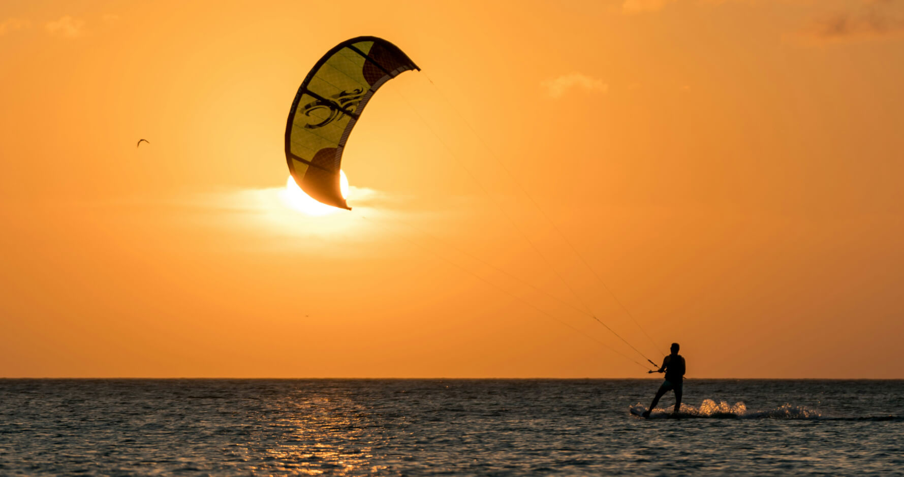 slider image 1659522562509a09c0-1